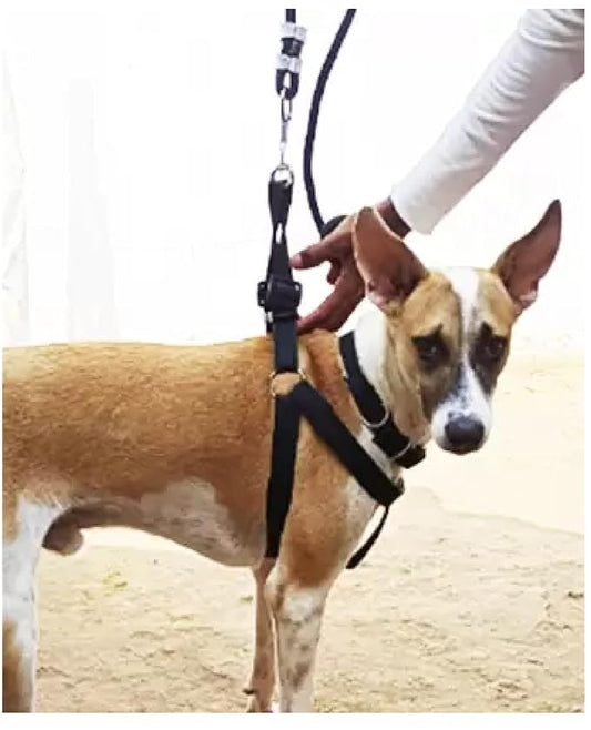 Pull Dog Harness